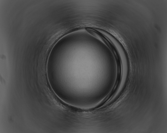 X0000090980481200708021502