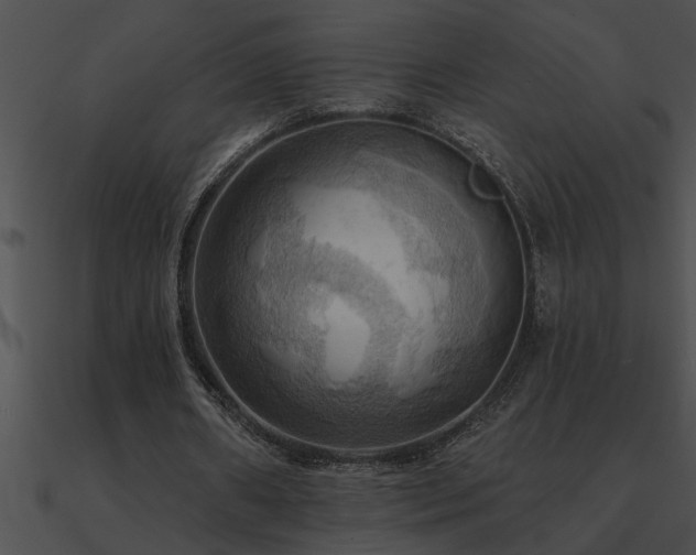 X0000090980482200708021502