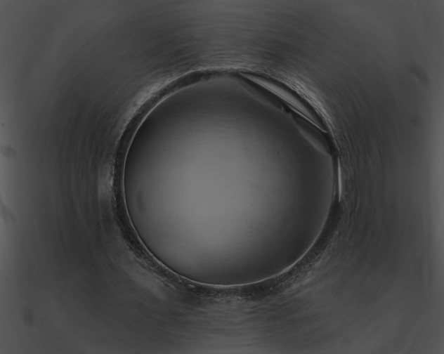 X0000090980483200708021502