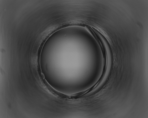X0000090980485200708021502
