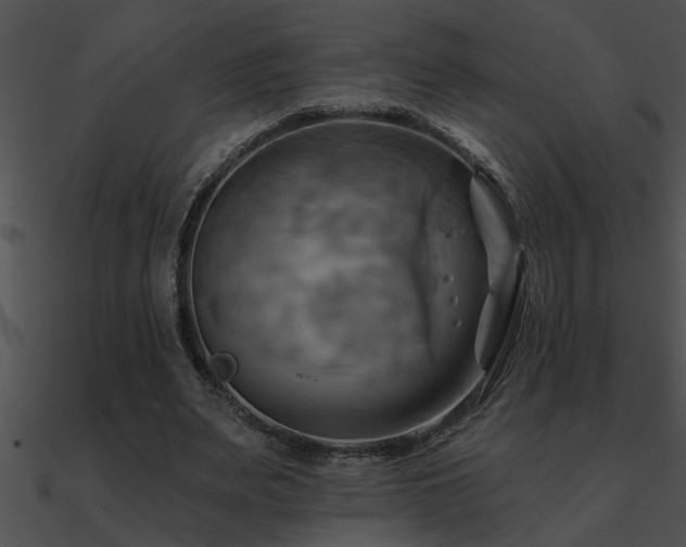 X0000090980487200708021502