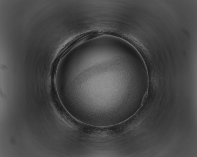 X0000090980488200708021502