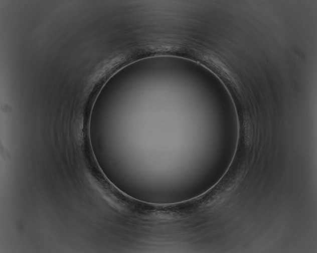 X0000090980490200708021502