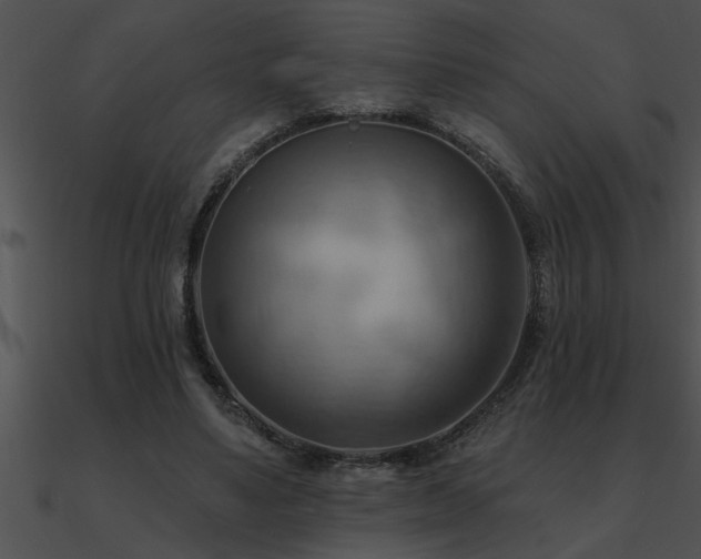 X0000090980491200708021502