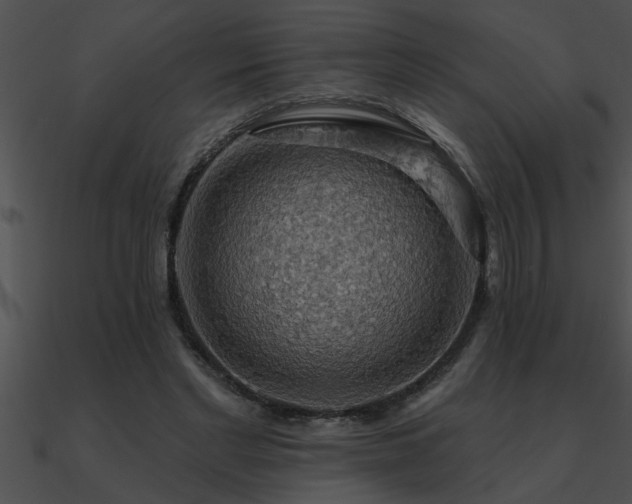 X0000090980493200708021502