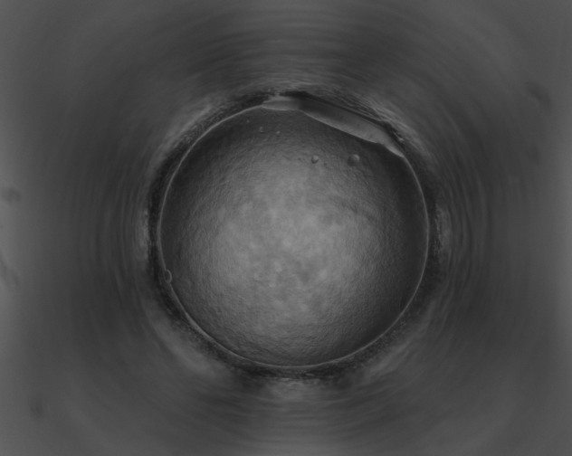 X0000090980494200708021502