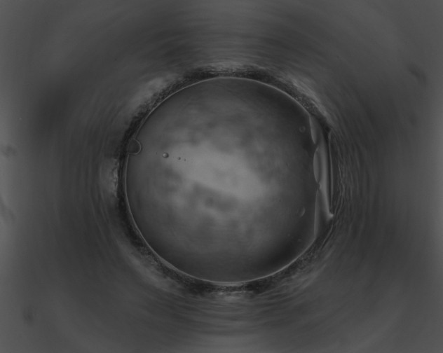 X0000090980495200708021502