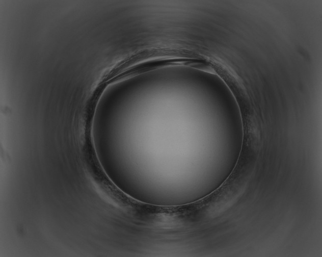 X0000090980496200708021502