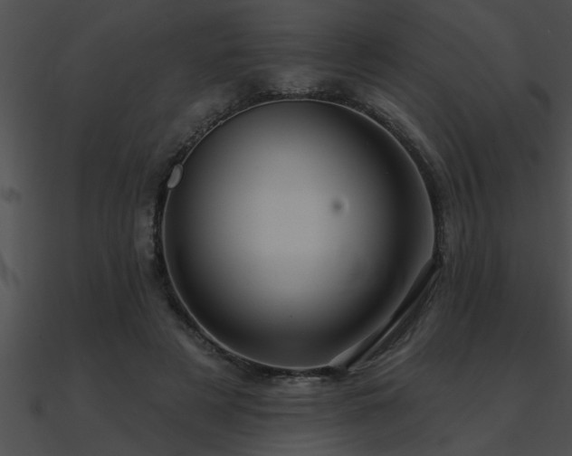 X0000090980497200708021502