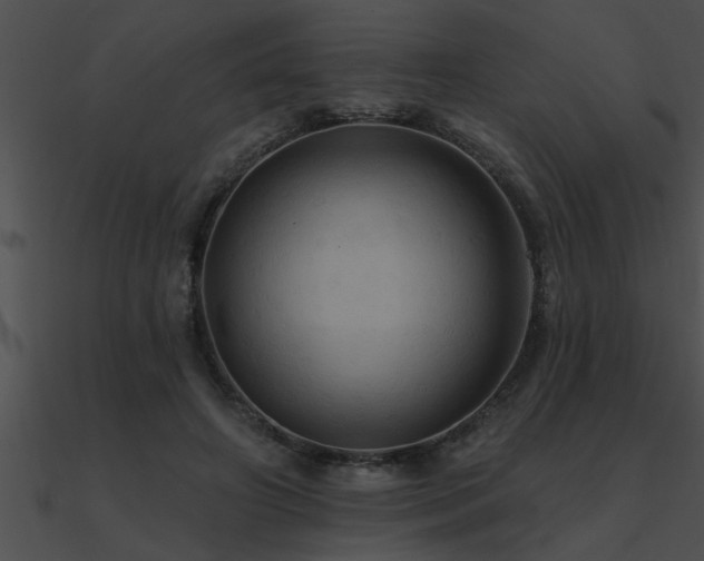 X0000090980498200708021502