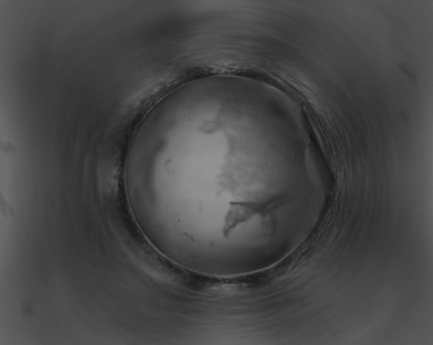 X0000090980499200708021502