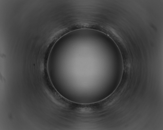X0000090980500200708021502