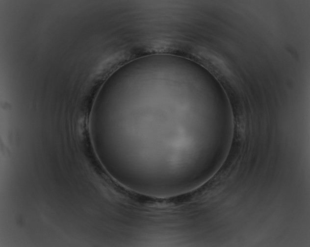 X0000090980503200708021502