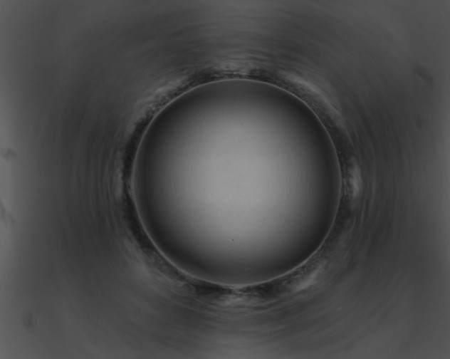 X0000090980504200708021501