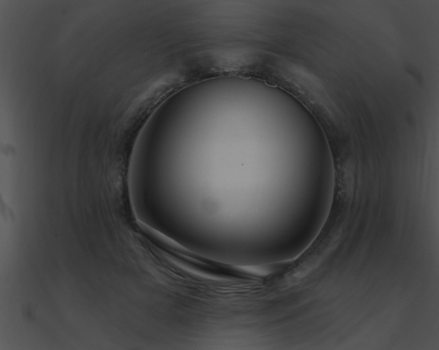 X0000090980505200708021501