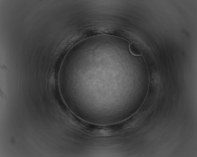 X0000090980506200708021501