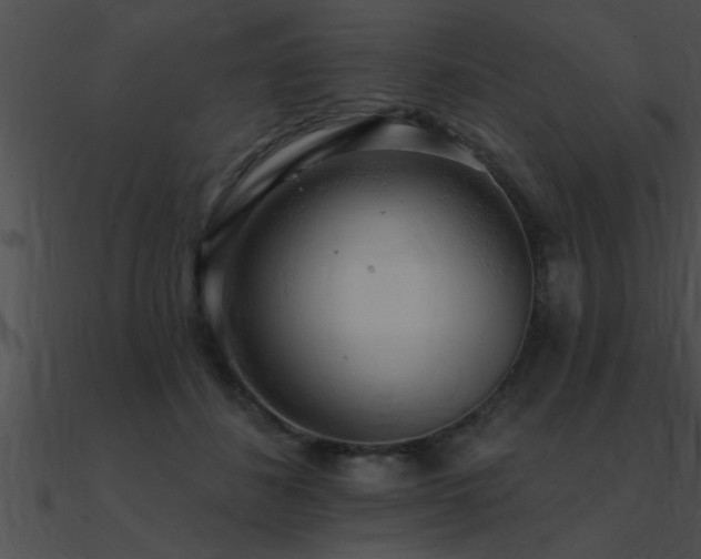 X0000090980508200708021501