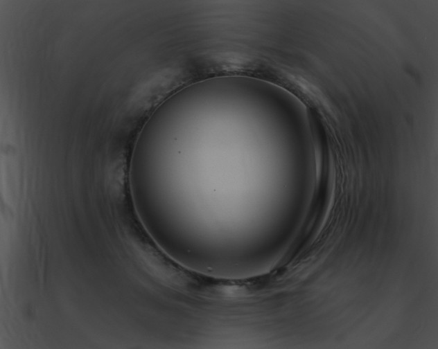 X0000090980509200708021501