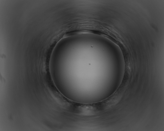 X0000090980512200708021501