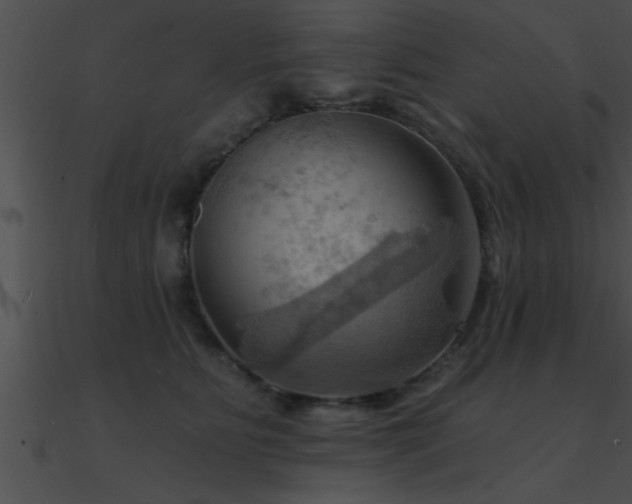 X0000090980515200708021501