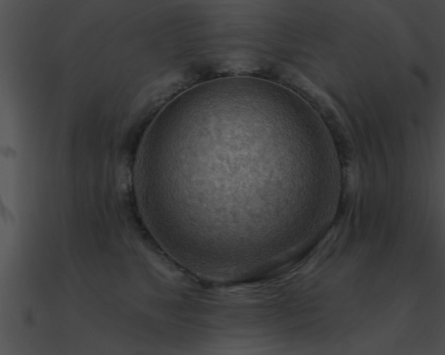 X0000090980517200708021501