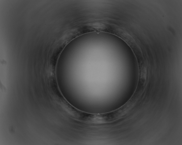 X0000090980518200708021501