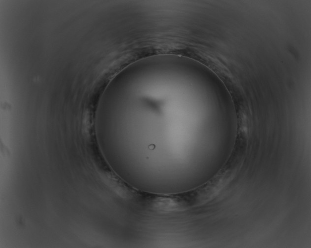 X0000090980519200708021501
