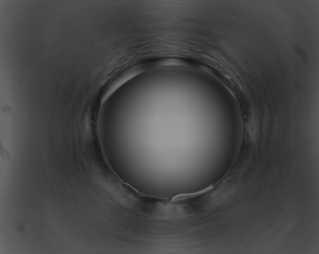 X0000090980520200708021501