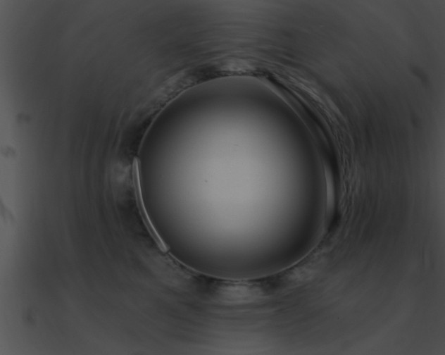 X0000090980521200708021501
