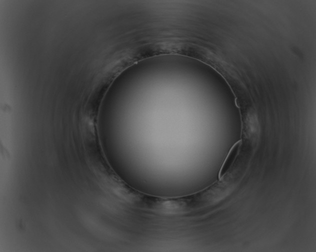 X0000090980522200708021501
