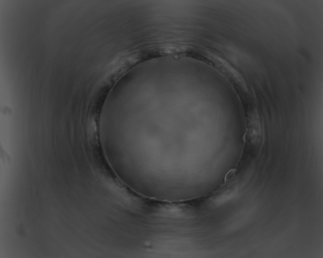 X0000090980523200708021501
