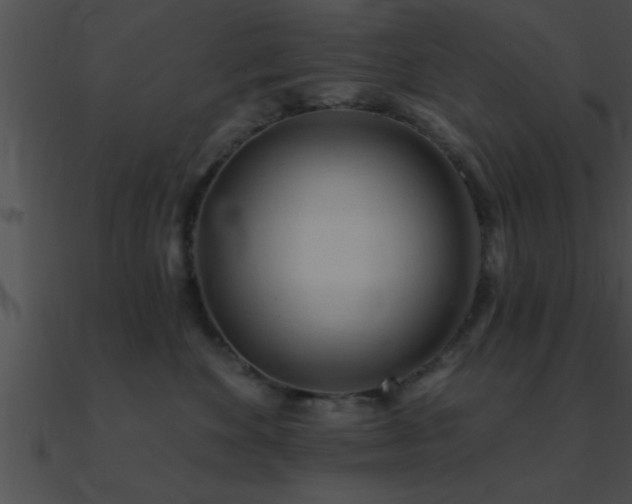 X0000090980524200708021501