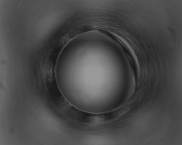X0000090980525200708021501