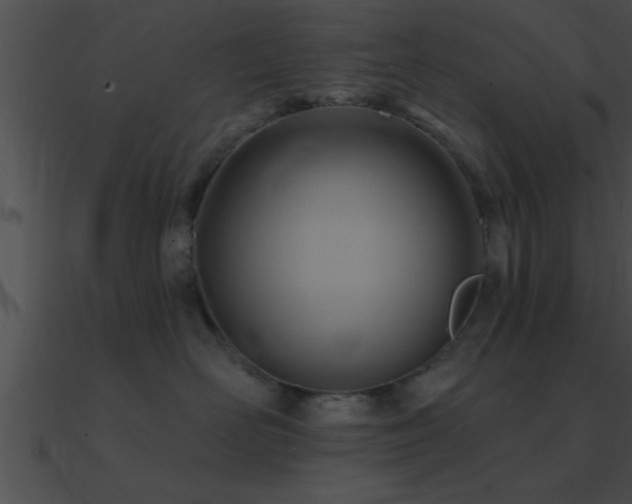 X0000090980526200708021501