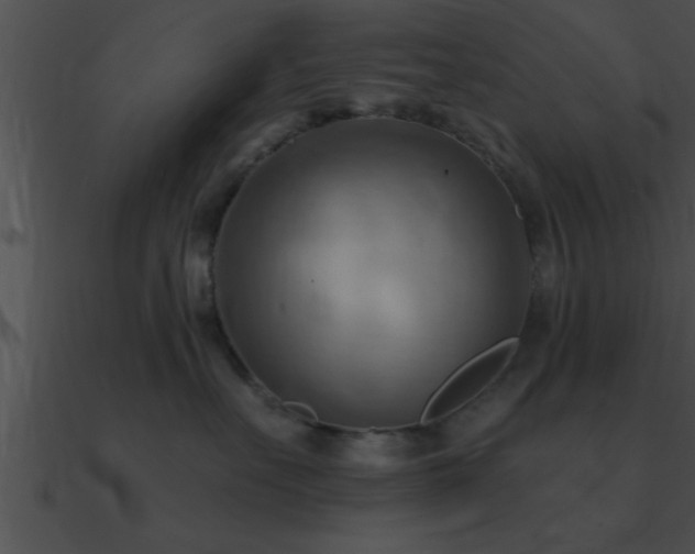 X0000090980527200708021501