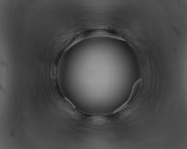 X0000090980528200708021501