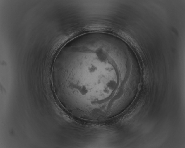 X0000090980529200708021501