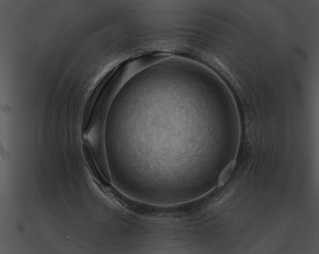 X0000090980530200708021501