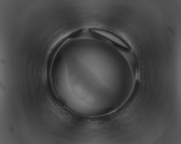 X0000090980531200708021501