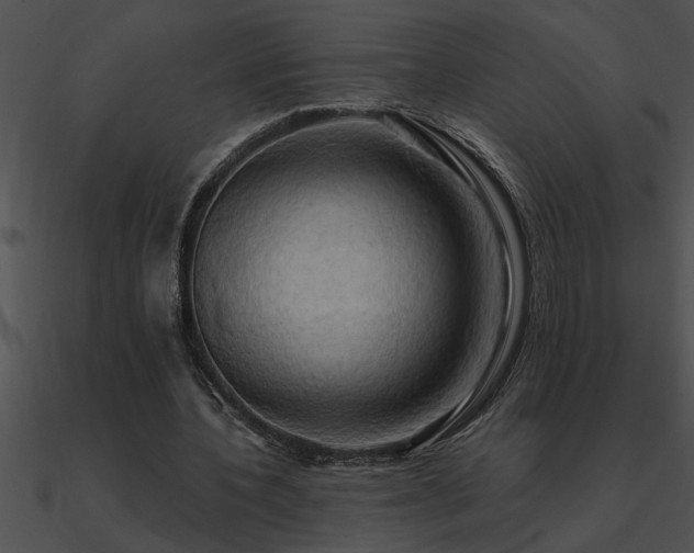 X0000090980532200708021501
