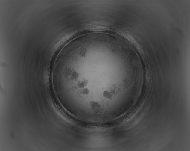 X0000090980533200708021501