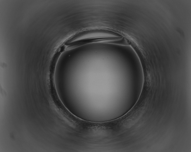 X0000090980535200708021501