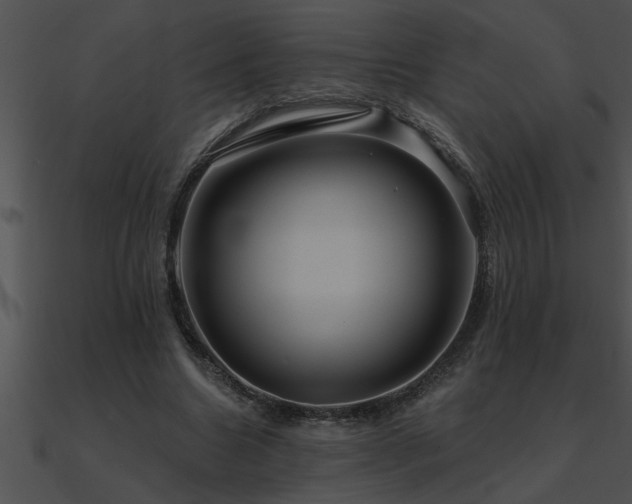 X0000090980538200708021501