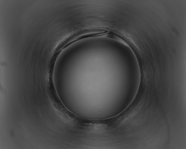 X0000090980539200708021501