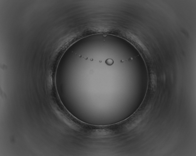 X0000090980541200708021501