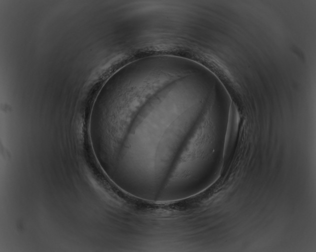 X0000090980542200708021501