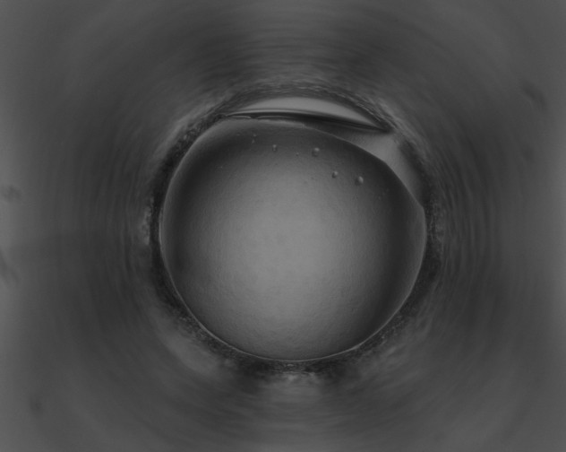 X0000090980543200708021501
