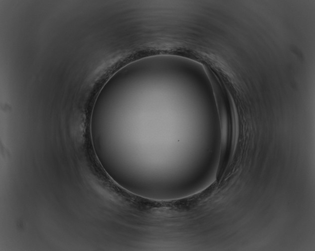 X0000090980544200708021501