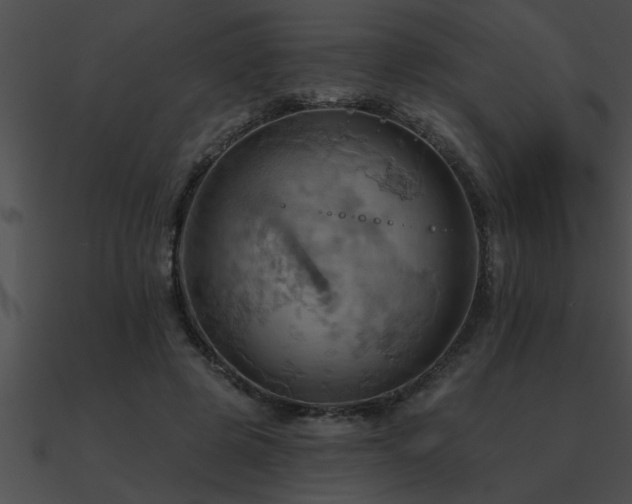 X0000090980545200708021501