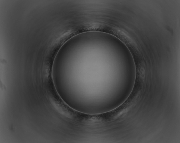 X0000090980546200708021501